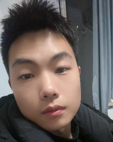 荡秋千的猪